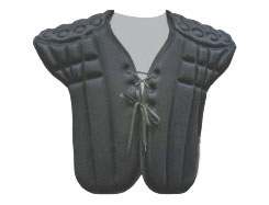 Chest Guard