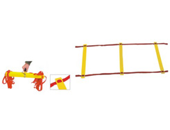 Pro Adjustable Ladder